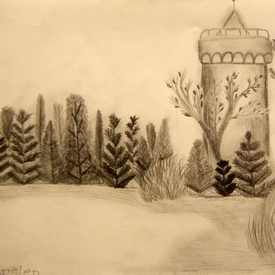 Bild vergr&ouml;&szlig;ern: SONY DSC