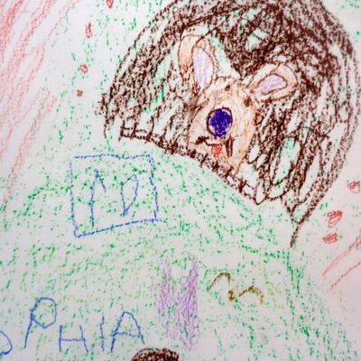 Bild vergr&ouml;&szlig;ern: P&uuml;nktchen Ergebnisse 04-2023 (11)