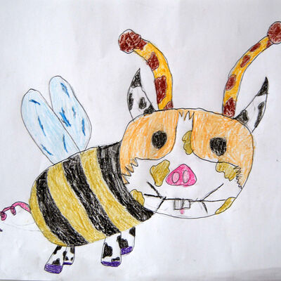 Bild vergr&ouml;&szlig;ern: SONY DSC