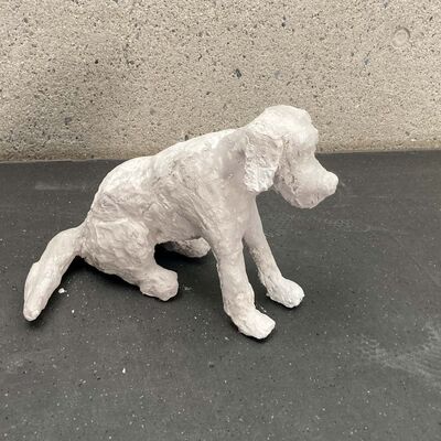 Bild vergr&ouml;&szlig;ern: 2024-05 BBS Objekt (6)