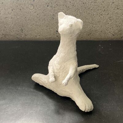 Bild vergr&ouml;&szlig;ern: 2024-05 BBS Objekt (7)