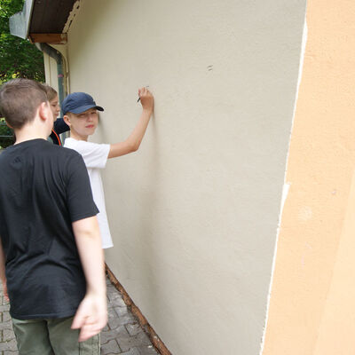 Bild vergr&ouml;&szlig;ern: SONY DSC