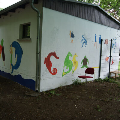 Bild vergr&ouml;&szlig;ern: SONY DSC