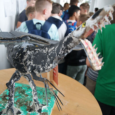 Bild vergr&ouml;&szlig;ern: SONY DSC