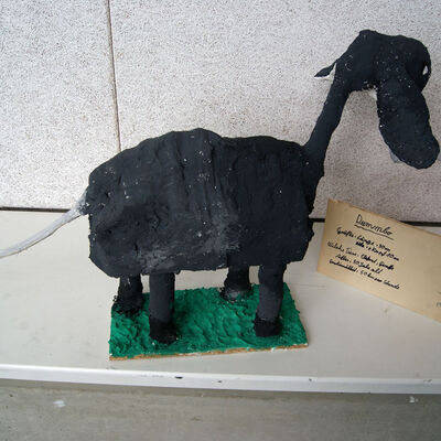 Bild vergr&ouml;&szlig;ern: SONY DSC