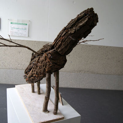 Bild vergr&ouml;&szlig;ern: SONY DSC