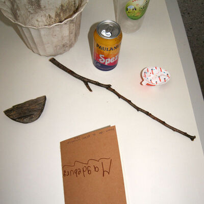 Bild vergr&ouml;&szlig;ern: SONY DSC