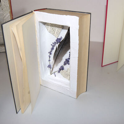 Bild vergr&ouml;&szlig;ern: SONY DSC