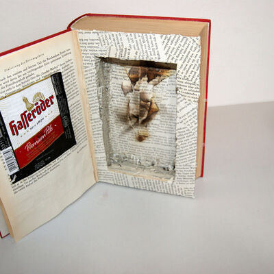 Bild vergr&ouml;&szlig;ern: SONY DSC