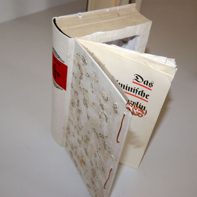 Bild vergr&ouml;&szlig;ern: SONY DSC