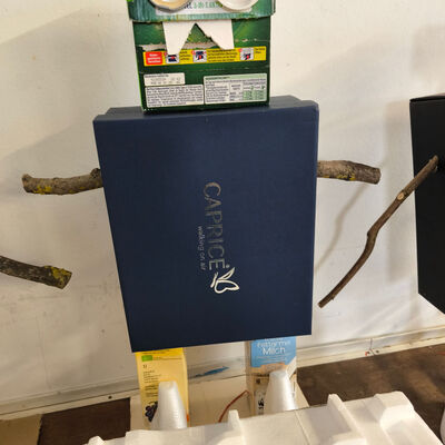 Bild vergr&ouml;&szlig;ern: 2025-11 GS Mehringen Plastik (5)