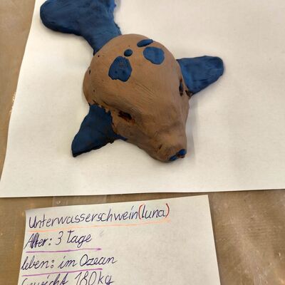 Bild vergr&ouml;&szlig;ern: 2026-01 Sek Burgschule Pr&auml;sentation Keramik (8)