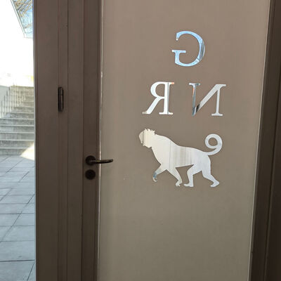 Bild vergr&ouml;&szlig;ern: 2026-03 Pestalozzi Grafikstiftung (3)